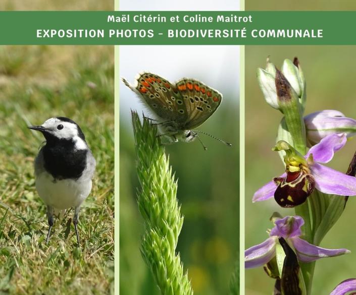 Expo biodiversité communale