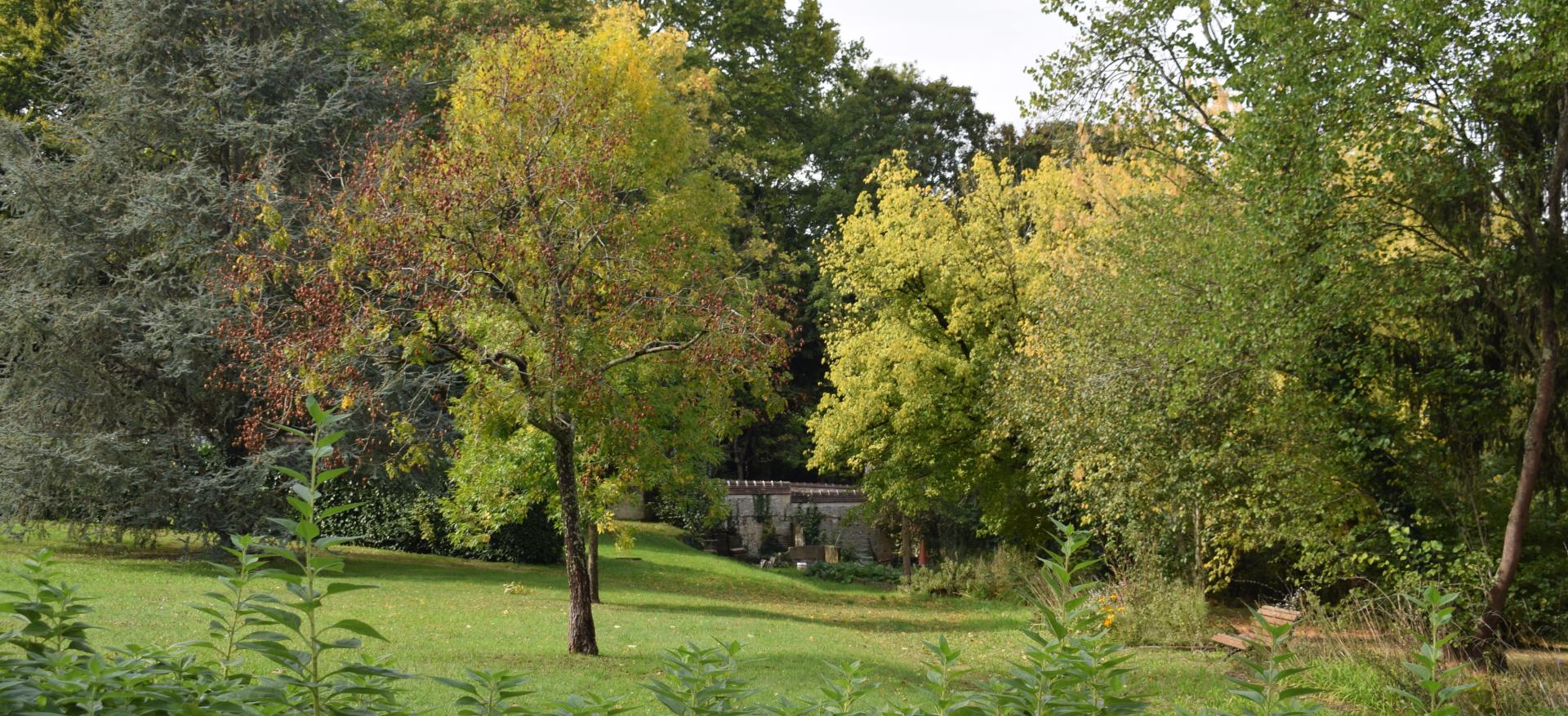 Parc de la mairie - Automne 2025