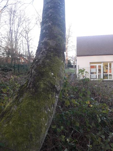 Hêtre - Ecole maternelle