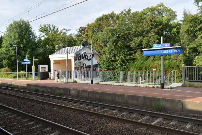 Gare de Bois-le-Roi