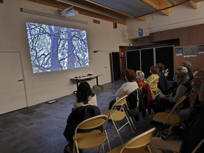 20251105-natureenville