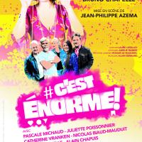 Cestenorme-affiche-briardises2025