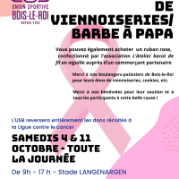 Affiche USB - Octobre rose - 11oct
