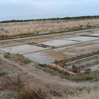 sejour seniors ccas sept 2025 5