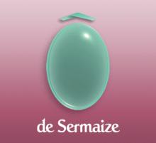 logo spa sermaize