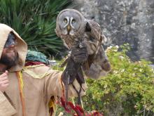 Journée à Provins juin 2024