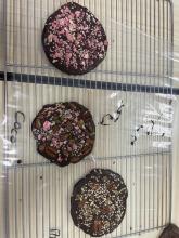  Atelier chocolat 07 novembre 2024