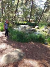  Marche en forêt 20 septembre 2024