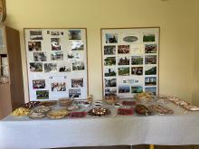  Brunch 13 septembre 2024