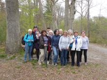 Marche en forêt du 16 avril 2025