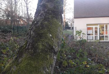 Hêtre - Ecole maternelle