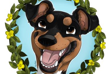 AmandogZ, visite et promenade de chiens