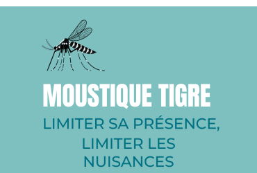 Moustique Tigre ars
