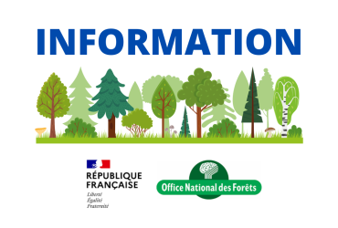 Information ONF Forêt